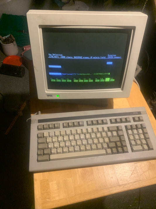 WYSE WY160 Terminal w/ WY60 Keyboard ASCII Cherry MX Read